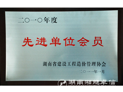 2010年度先進單位會員（工程）